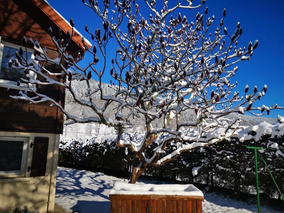 Gites Les Grandes Voies - Cle Vacances Le Menil Exterior photo