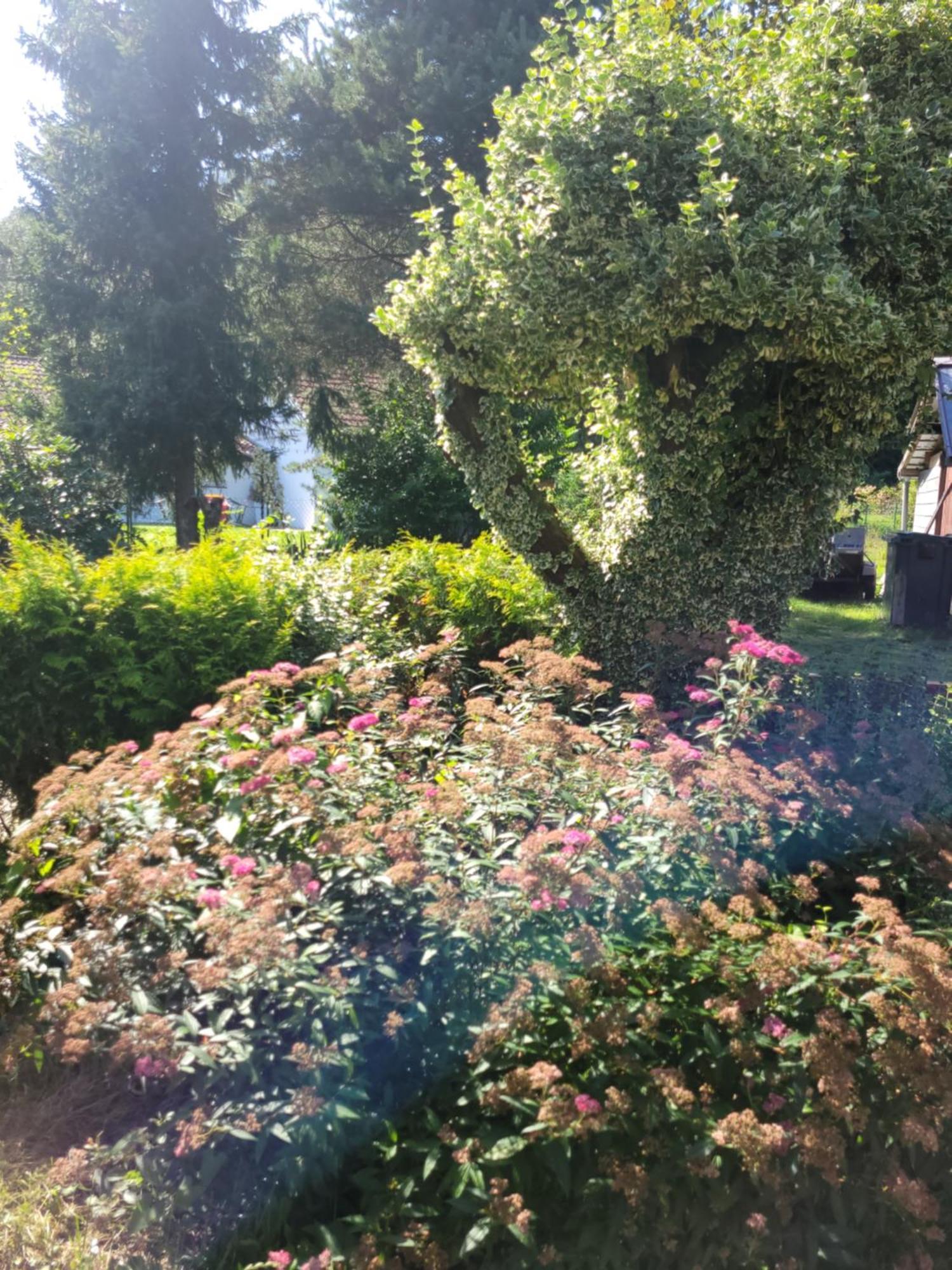 Gites Les Grandes Voies - Cle Vacances Le Menil Exterior photo
